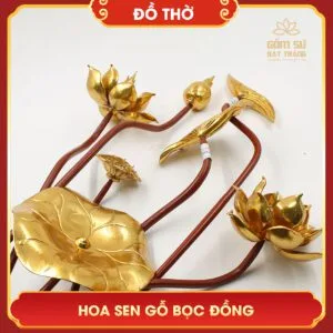 hoa sen go boc dong 1