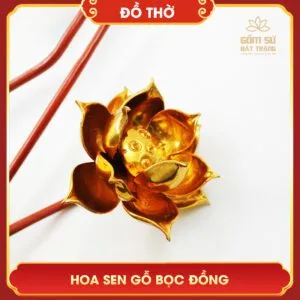 hoa sen go boc dong 2