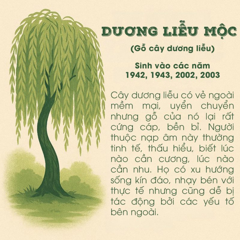 binh hut tai loc cho nguoi menh moc 36