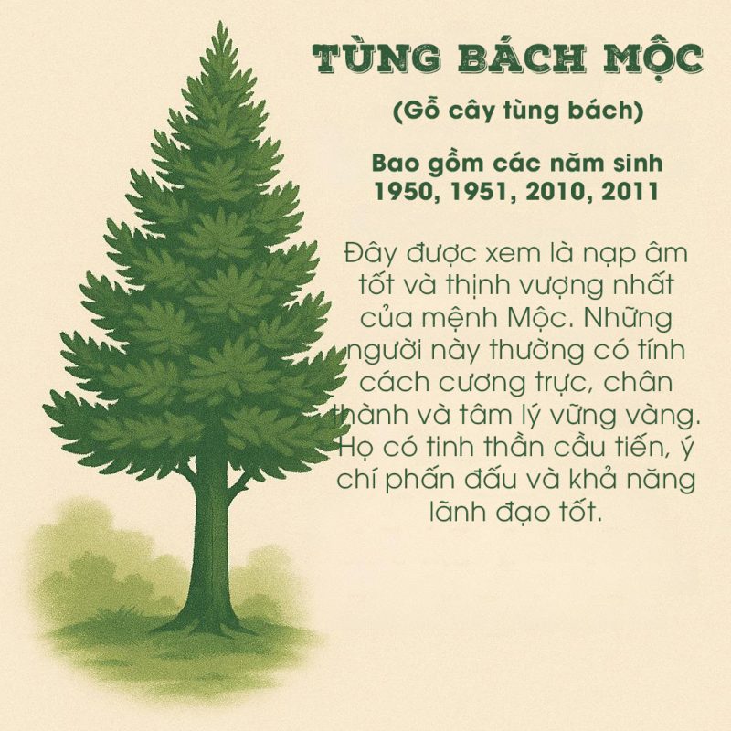 binh hut tai loc cho nguoi menh moc 37