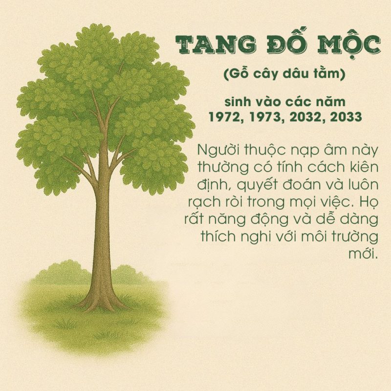 binh hut tai loc cho nguoi menh moc 40