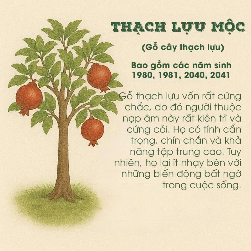 binh hut tai loc cho nguoi menh moc 41