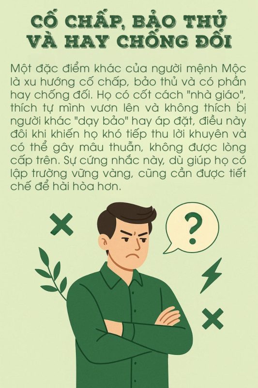 binh hut tai loc cho nguoi menh moc 50